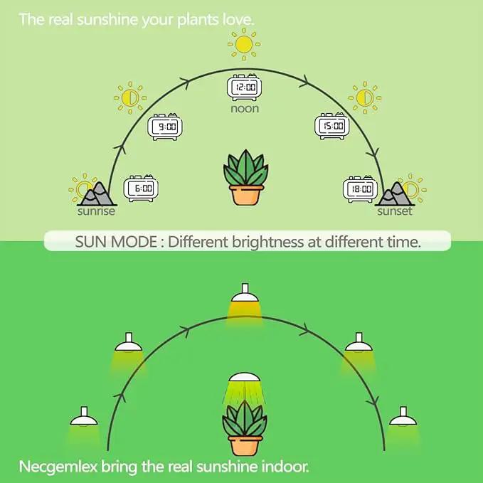 Smart LED Grow Light Bulbs with Remote Controller, Sun Simulation Mode, Built-in Auto Timer, A21/A70 E26/E27 9W Dimmable Full Spectrum Intelligent Plant Grow Bulbs for Indoor Plants, 6 Pack by GreenHaven Gardens