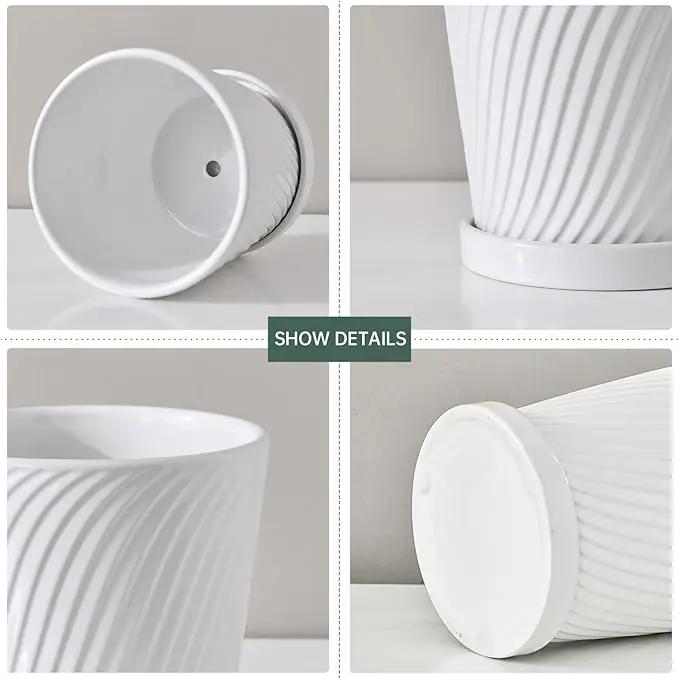 Ton Sin Plant Pots,White 6 Inch Flower Pots for Plants,Ceramic Planter with Drainage Holes,Indoor Planter Pots with Saucer,Outdoor Garden Pots (White, 4 Pack) by GreenHaven Gardens