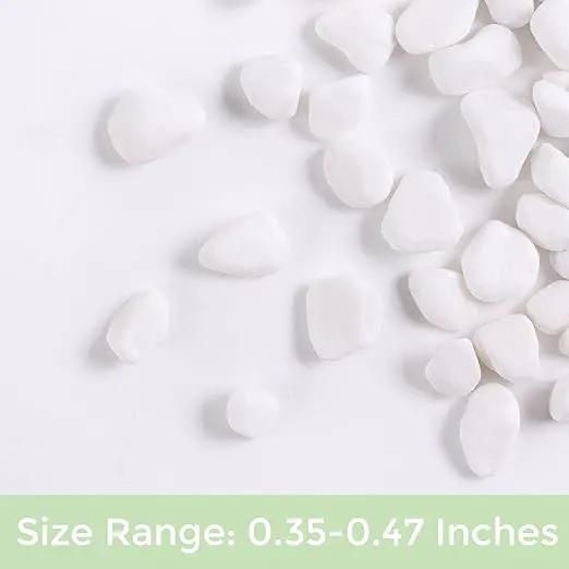 SIDONG 5 LB White River Rocks, 0.3-0.5 Inches Matte Pebbles for Indoor Plants, Aquarium Rocks Used in Fish Tank, Decorative Stones for Plants, Vases, Home Décor, Crafting, Garden Landscaping by GreenHaven Gardens