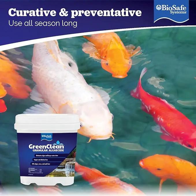 BioSafe Systems 3002-8 GreenClean Granular Algaecide String Algae Control for Koi Ponds, Fountains, Waterfalls, Water Features on Contact, 8 lbs, EPA Registered by GreenHaven Gardens