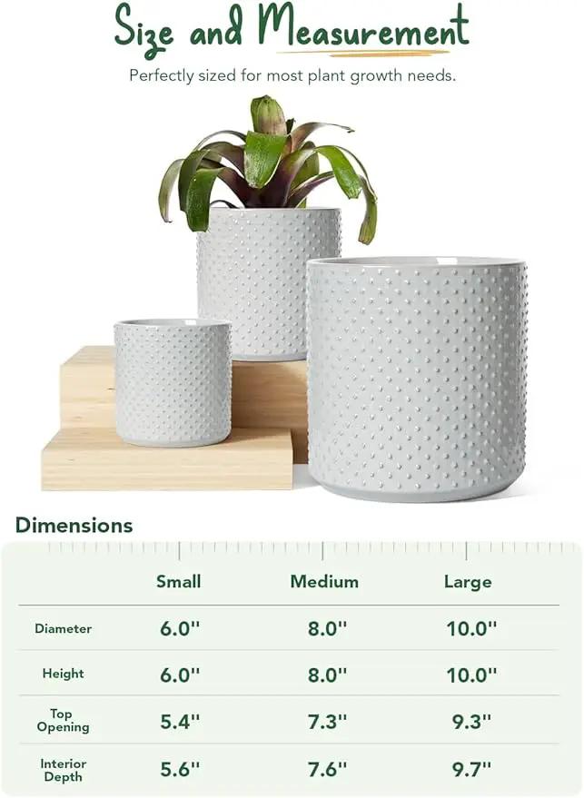 LE TAUCI Ceramic Plant Pots Indoor, 10+8+6 Inch Planters for Indoor Plants, Raised Dots Flower Pots with Drainage Hole and Plug, Cylinder Round Planters, Set of 3, Glaze Star Gray by GreenHaven Gardens
