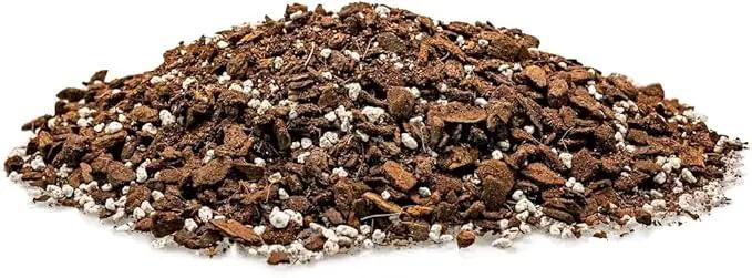 Monstera Borsigiana Soil Blend - Specially Designed for Unique Plant Needs - 4 Quart by GreenHaven Gardens