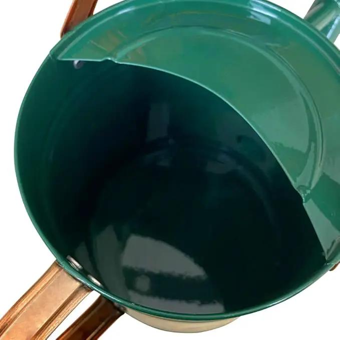 Metal Watering Can for Outdoor and Indoor Plants, Watering Can Decor, 1 Gallon (1 Gallon Green2) by GreenHaven Gardens