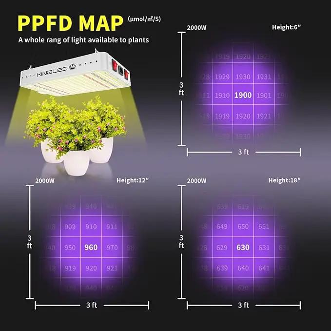KingLED Grow Lights, KP2000 Full Spectrum Grow Lamp for Indoor Plant, Veg Bloom Dual Mode, 3x3 Coverage, Plant Light for Seedlings Blossom Fruiting, Idea for Home Growing Tent Hydroponic Greenhouse by GreenHaven Gardens