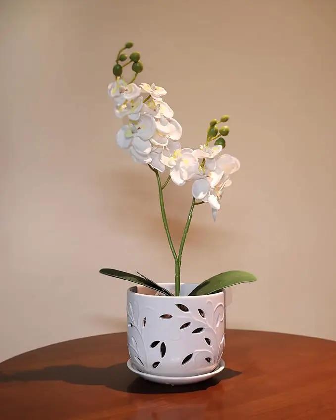 EFISPSS Orchid Pot with Holes, 5+6Inch Ceramic Plant Pots with Drainage Holes and Tray, Promoting Air Circulation and Drainage, Indoor/Outdoor White Flower Pots by GreenHaven Gardens