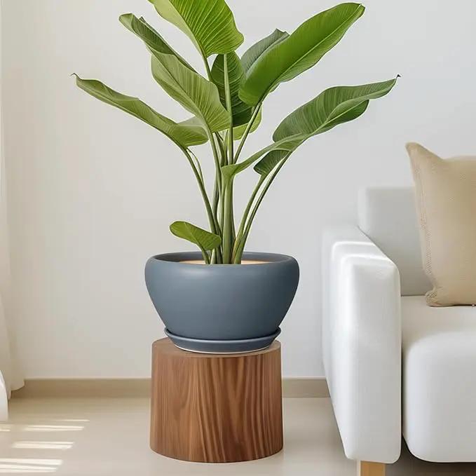 Ceramic Plant Pot - 11 Inch Planter for Indoor Plants Large Plant Pot with Drainage Hole and Saucer Round Outdoor Planter Modern Flower Pot for Home Decor Gray by GreenHaven Gardens