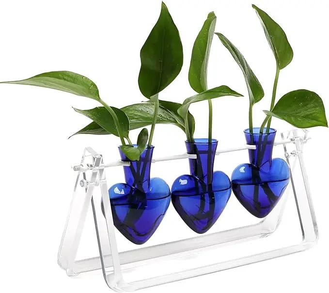 Plant Terrarium Propagation Stations with Wooden Stand Birthday Gifts for Women Plant Stand Indoor Office Home Decor by GreenHaven Gardens