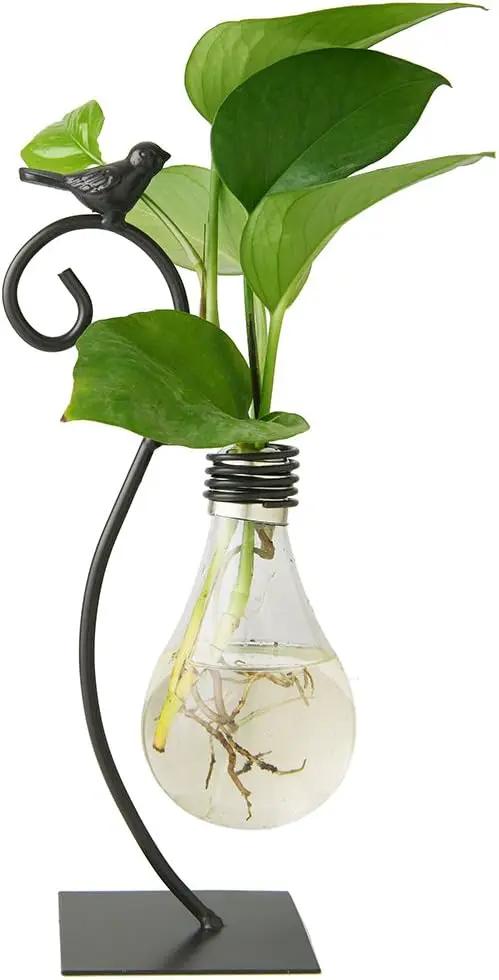 Marbrasse Desktop Glass Planter Hydroponics Vase,Planter Bulb Vase with Holder for Home Decoration,Modern Creative Bird Plant Terrarium Stand, Scindapsus Container (Bulb Vase) by GreenHaven Gardens