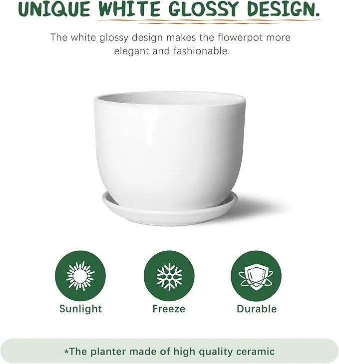 8 Inch Ceramic Planter, Plant Pots with Drainage Hole and Separable Saucer,Indoor-Outdoor Round Succulent Orchid Flower Pot,Indoor pots for Plants(Smooth White,Plant Pot only) by GreenHaven Gardens