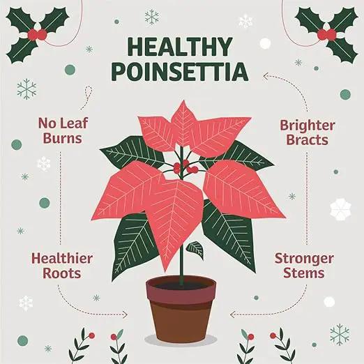 Poinsettia Plant Fertilizer - 3-1-2 NPK - Organic Liquid Plant Food for Christmas Flowers and Trees - 32oz Concentrate by GreenHaven Gardens