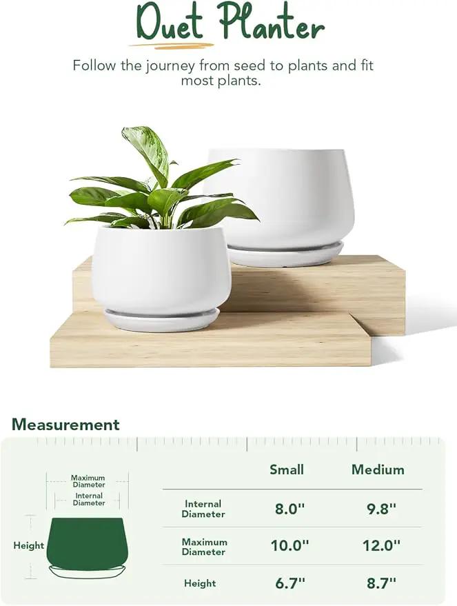 LE TAUCI Ceramic Plant Pots, Set of 2, 10 + 12 Inch Plant Pot, Elegant Planters for Indoor Plants, Sturdy Planter with Drainage Hole and Saucers, Perfect for Home Decor, White by GreenHaven Gardens
