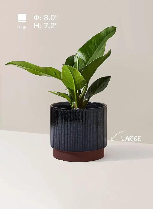 LE TAUCI Ceramic Plant Pots with Drainage Holes, Set of 3, 8+6.7+5.5 Inch Stripe Garden Planter Pots for Outdoor Indoor Plants Flower, Round Succulent Orchid Flower Pot, Reactive Glaze Black by GreenHaven Gardens