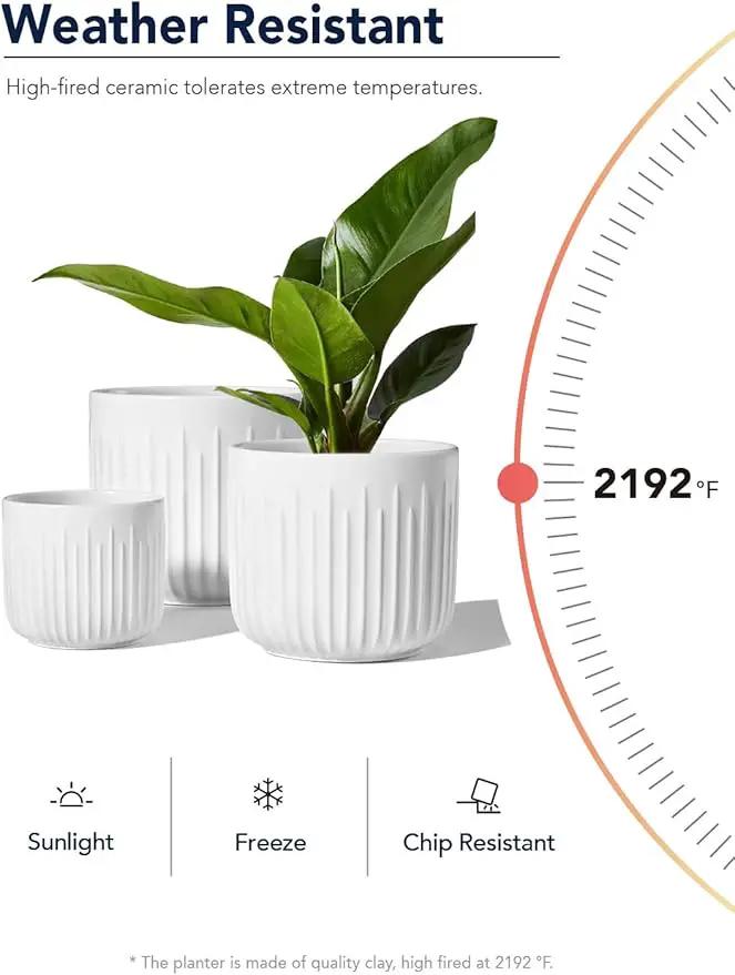 LE TAUCI Ceramic Planters, Set of 3 Plant Pots for Indoor Plants, 8.3+6.9+5.7 inch Flower Pots with Drainage Holes, Medium Cylinder Planters Pot for Indoor House Plants, White by GreenHaven Gardens