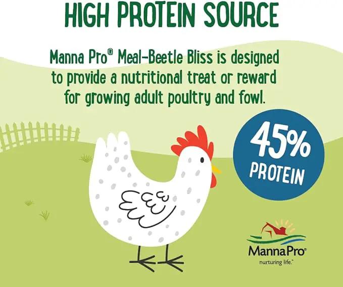 Manna Pro Farmhouse Favorites Beetle Bliss Poultry Treat – Blend of Mealworms and Beetles – All Natural Treat for Chickens, Ducks, Geese, Turkeys, & Guinea Fowl – 45% Protein – 2lb Bag by GreenHaven Gardens