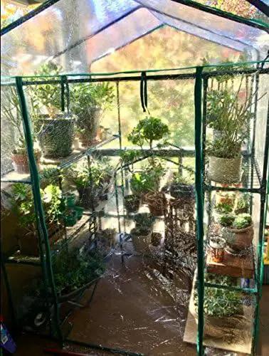 Greenhouse - Walk in Greenhouse with 8 Sturdy Shelves and PVC Cover for Indoor or Outdoor Use - 56 x 56 x 76-Inch Green House by Home-Complete by GreenHaven Gardens
