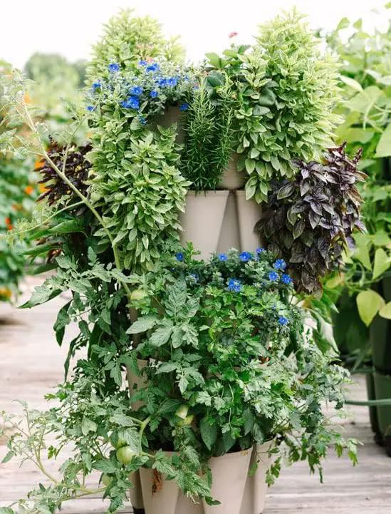 Greenstalk Patented Large 5 Tier Vertical Garden Planter with Patented Internal Watering System Great for Growing a Variety of Strawberries, Vegetables, Herbs, & Flowers (Stunning Stone) by GreenHaven Gardens
