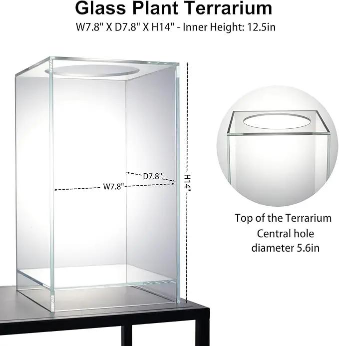 Desktop Glass Plant Terrarium with Grow Light(L7.8 W7.8 H14), for Succulent, Moss, Miniature Gardening Landscape, Betta Fish Tank, Indoor Plant Growth, Office Home Decoration (TimeControlled) by GreenHaven Gardens