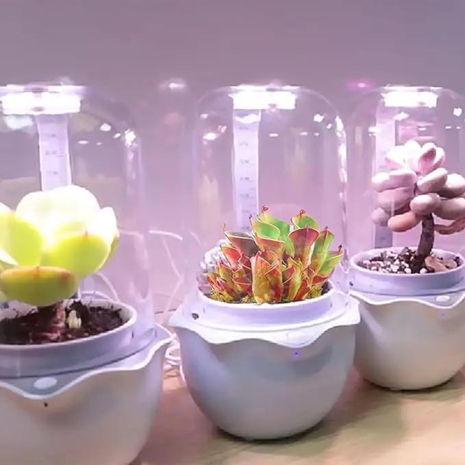 Smart Venus Fly Trap Terrarium Pot with Timer&Fan,Succulent Planter with Grow Light,Indoor Plant Pots Terrarium with Drainage Hole for Carnivorous Plants,Sundew Moss,Cactus(No Plant) by GreenHaven Gardens