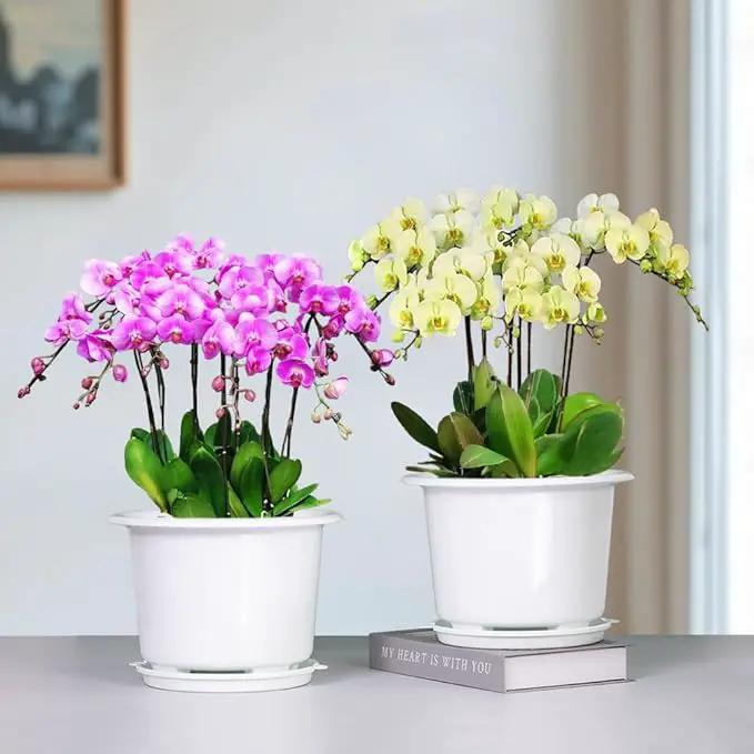 8 Inch Orchid Pots with Holes and Saucers,Double Layer Plastic Large Orchid Planter Pot,Flower Pots for Indoor Outdoor Flower Plants,Orchids,Herbs,Snake Plants and Succulents by GreenHaven Gardens
