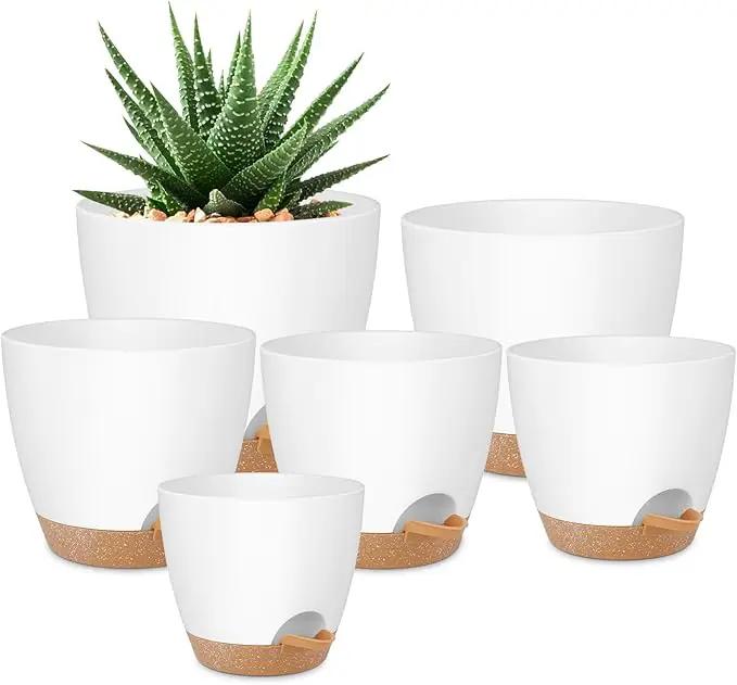 Plant Pots 8/7/6.5/6/5.5/5 Inch Self Watering Pots, Set of 6 Plastic Planters with Drainage Holes and Saucers,Plastic Flower Pots,Nursery Planting Pot for Indoor Out Door Plants（White） by GreenHaven Gardens