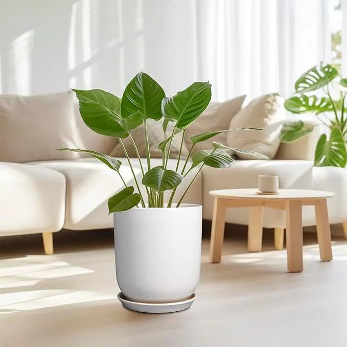 Pots for Plants - 10 Inch Ceramic Plant Pot with Drainage Hole and Saucer Large Planter for Plants Indoor Outdoor Modern Flower Pot for Home Decor White by GreenHaven Gardens