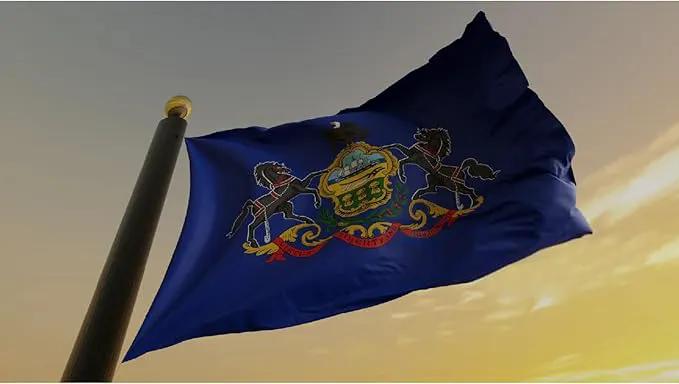 TOPFLAGS Pennsylvania Flag 3x5 Outdoor PA State Flags Double Sided Embroidered Longest Lasting Heavy Duty Polyester Stronger Brass Grommets 4 Stitched Hemming Perfect for Outside by GreenHaven Gardens