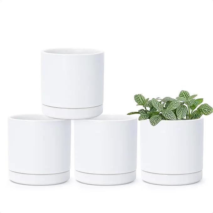 D'vine Dev Set of 4 Small Ceramic Plant Pots, 3.5 Inch Succulent Planter Pot for Plants with Drainage Hole and Saucer, White, 94-X-A-1 by GreenHaven Gardens