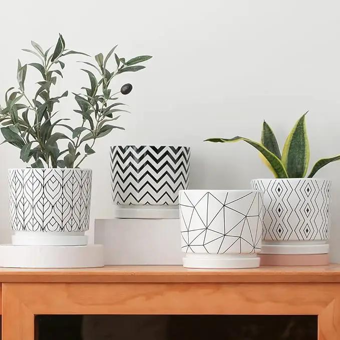Ton Sin Plant Pots,5.5 Inch White Pots for Indoor Plants with Drainage Holes,Cylinder Flower Pot Ceramic Planters with Saucer,Cactus Succulent Outdoor Garden Pots Set of 4 by GreenHaven Gardens
