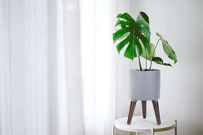 D'vine Dev 8 Inch Planter Pot with Stand, Mid-Century Tall Plant Pot with Legs for Indoor Plants, Small, Grey, 88-O-A-3 by GreenHaven Gardens