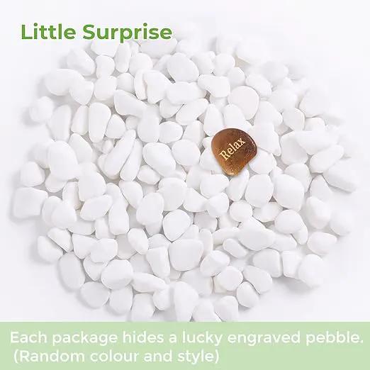 SIDONG 5 LB White River Rocks, 0.3-0.5 Inches Matte Pebbles for Indoor Plants, Aquarium Rocks Used in Fish Tank, Decorative Stones for Plants, Vases, Home Décor, Crafting, Garden Landscaping by GreenHaven Gardens