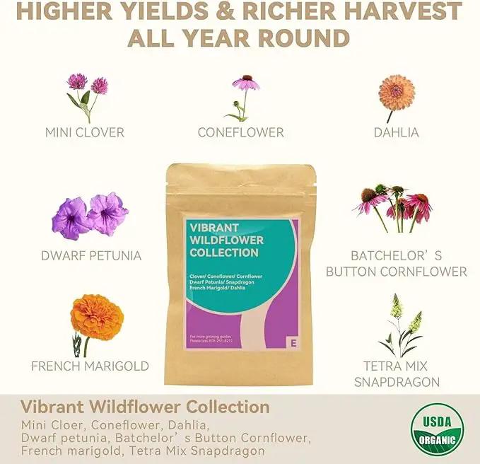 inbloom Flower Seed Pod Kit for AeroGarden, iDoo, Ahopegarden, GARDENCUBE, MUFGA Hydroponics, 12 Pods (350+ Seeds with Coneflower, Petunia, Snapdragon, French Marigold, Dahlia) by GreenHaven Gardens