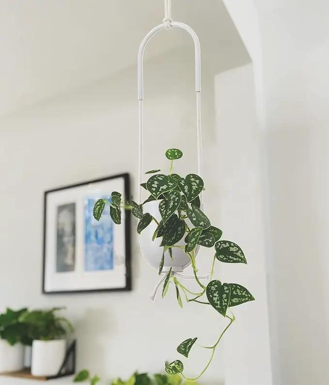 Boho Hanging Planter for Indoor Outdoor Plants Modern Wall and Ceiling Hanging Plant Basket Holder Hanger for Vines Succulents Ferns Room Decor(White) by GreenHaven Gardens
