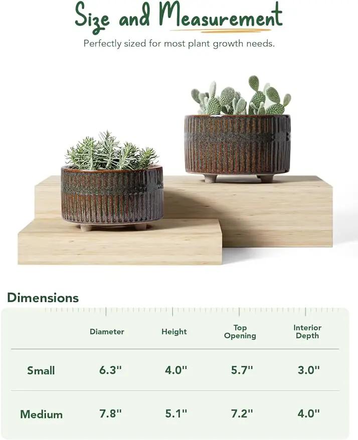 LE TAUCI Succulent Pots, 6.5+8 Inch Ceramic Indoor Plant Pot with Drainage Hole, Modern Round Decorative Flower Pot, Set of 2, Reactive Glaze Black by GreenHaven Gardens