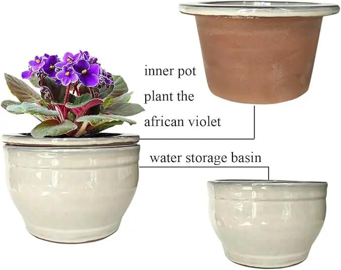 African Violet Pots Self Watering Round Ceramic Violet Pot (White, 6 inch) by GreenHaven Gardens