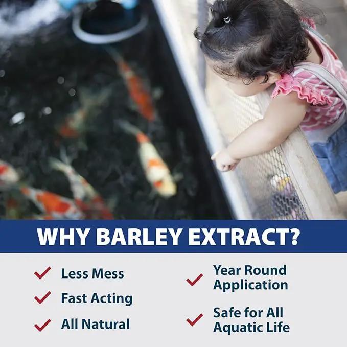 The Pond Guy Barley Extract Natural Liquid Treatment for Ponds and Water Gardens, Safe for Koi Fish and Plants, Natural Solutions for Clear Pond Water - 32 Ounces by GreenHaven Gardens