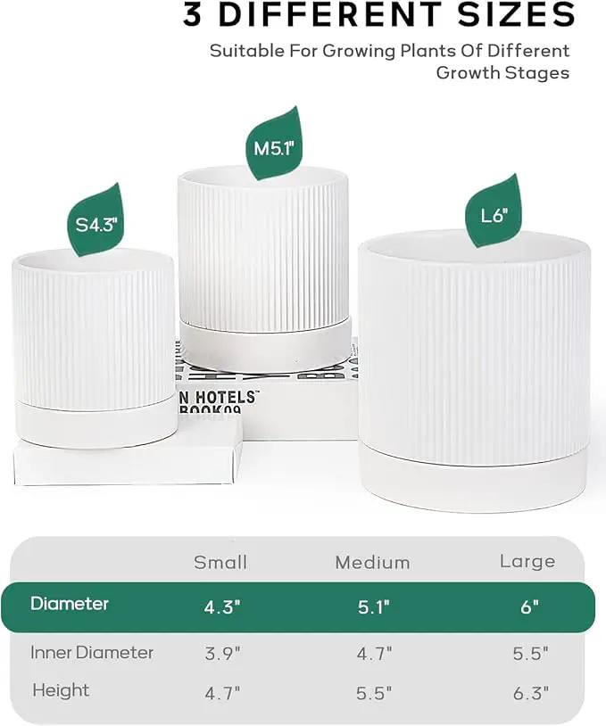 LaDoVita 3 Pack Ceramic Plant Pots 6/5/4 inch, Flowerpot for Indoor Plants with Drainage Holes and Tray, Outdoor Garden Planters, Modern Decorative for Home, White Vertical Stripes by GreenHaven Gardens