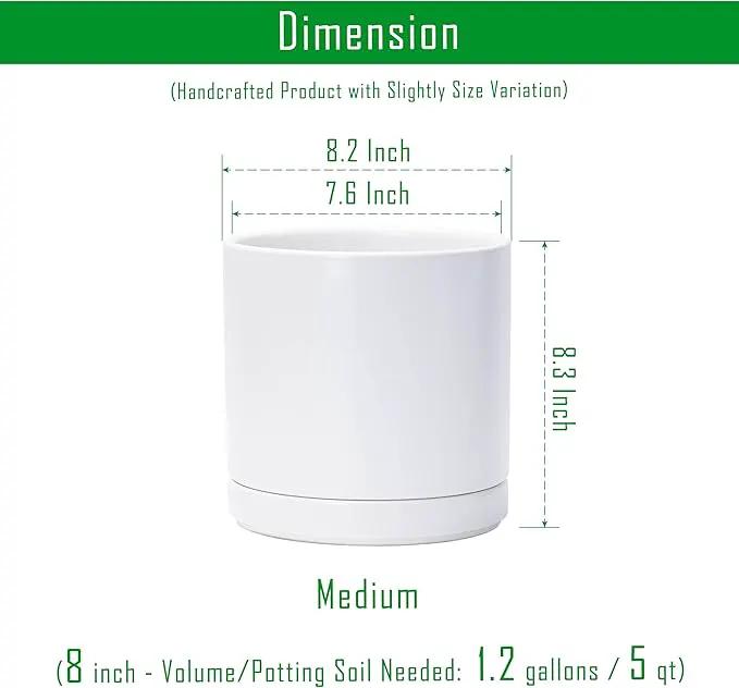 D'vine Dev 8 Inch Ceramic Planter Pot with Drainage Hole and Saucer, Indoor Cylinder Round Planter Pot, White, 94-O-D-1 by GreenHaven Gardens