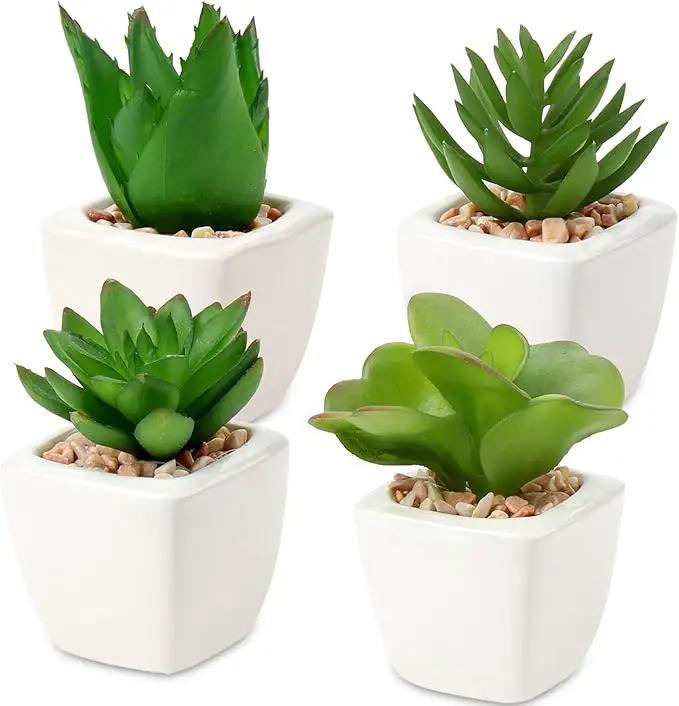 Hollyone Succulents Plants Artificial 4Pcs Small Fake Succulents in Pots Faux Plastic Potted Plants with White Ceramic Pot for Home Decor Office Desk Bathroom Shelf Indoor & Outdoor Decoration by GreenHaven Gardens