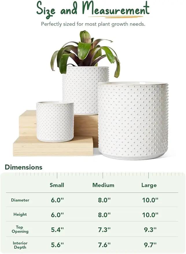LE TAUCI Ceramic Plant Pots Indoor, 10+8+6 Inch Planters for Indoor Plants, Raised Dots Flower Pots with Drainage Hole and Plug, Cylinder Round Planters, Set of 3, Glaze Arctic White by GreenHaven Gardens