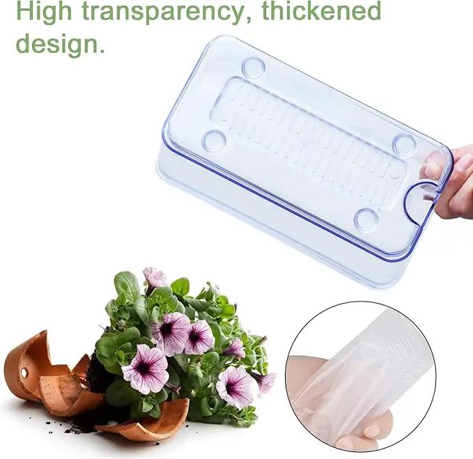 Self Watering Planters for Indoor Plants, 4 Pack Rectangular Clear Plant Pots with Drainage Holes for Spider Plant African Violet, Plant Growth Observations Plant Box for Kids by GreenHaven Gardens