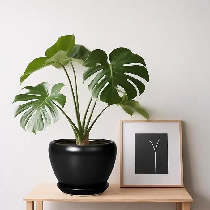 Ceramic Planter Pot - 6 Inch Plant Pot with Drainage Hole and Saucer Round Planter for Indoor Plants Outdoor Succulent Pot Modern Flower Pot for Home Decor Black by GreenHaven Gardens