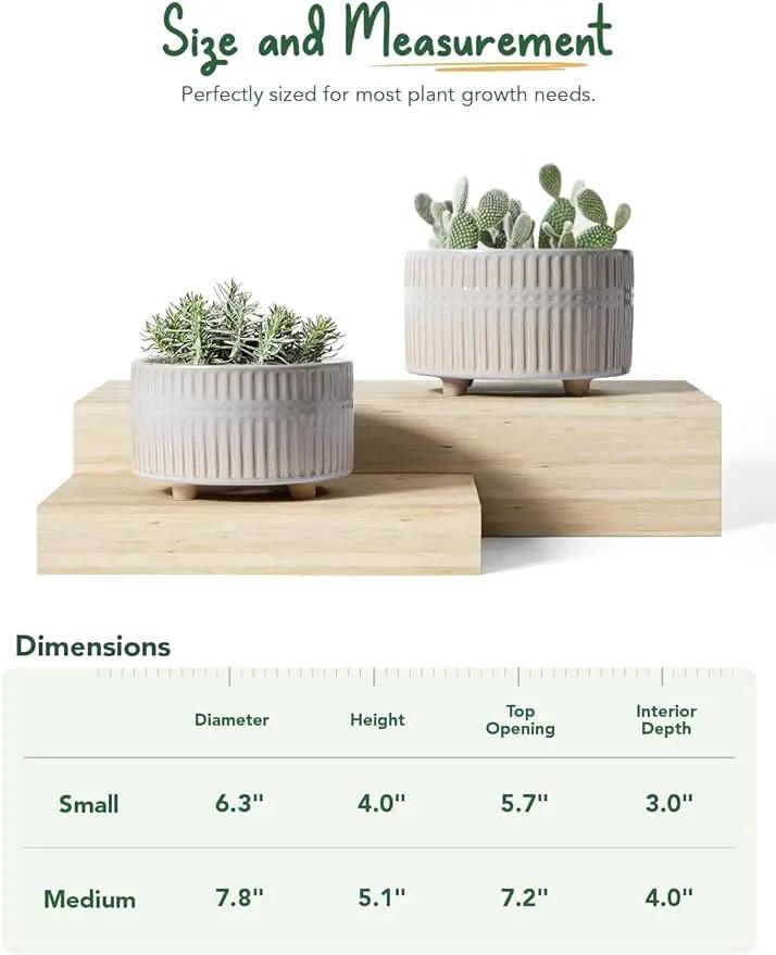 LE TAUCI Succulent Pots, 6.5+8 Inch Ceramic Indoor Plant Pot with Drainage Hole, Modern Round Decorative Flower Pot, Set of 2, Reactive Glaze Star White by GreenHaven Gardens