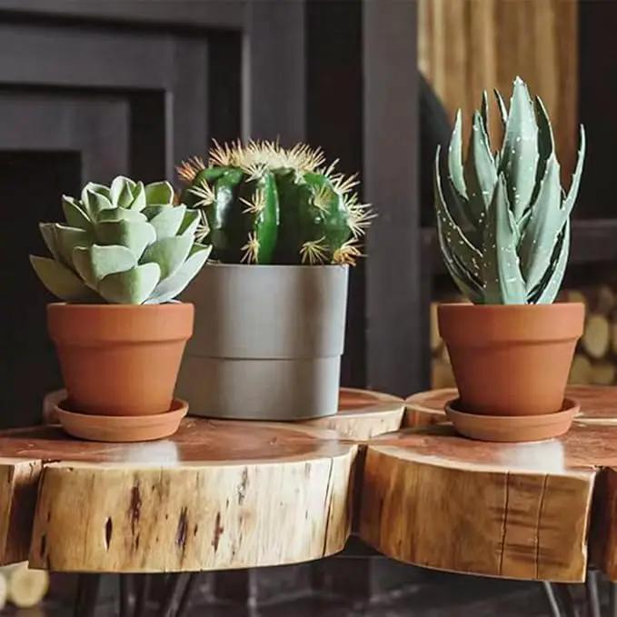 6 PCS Clay pots and Plates, 5-inch red Clay pots with Drainage, Perfect for Indoor, windowsill, and Garden Plants by GreenHaven Gardens
