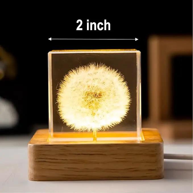 Flower Crystal Ball Night Light,2.4 inch Glass Ball Night Lamp with Woodern Base (Dandelion 1) by GreenHaven Gardens