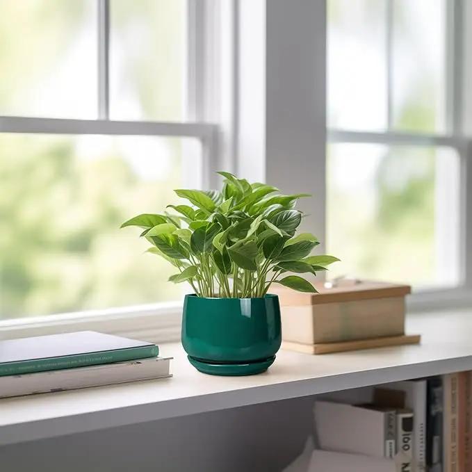 G EPGardening 4 inch Plant Pots - Small Ceramic Planter with Drainage Hole & Tray, Succulent Pots Indoor Outdoor, Round Modern Planter, Decorative Flower Pot, Desk Decor, Gifts for Plant Lover, Green by GreenHaven Gardens
