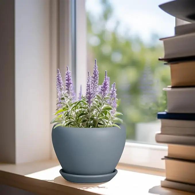 Ceramic Pot for Plants - 6 Inch Plant Pot Indoor with Drainage Hole and Saucer Decorative Planter for Outdoor Plants Modern Succulent Pot Round Flower Pot Gray by GreenHaven Gardens