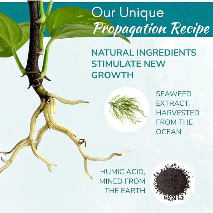 Houseplant Prop Drops - Propagation Promoter & Root Growth Hormone | Root Stimulator for Cuttings | Supports Stronger, Healthier Plants | Easy-to-Use Liquid Formula for Water & Soil Propagation | 8oz by GreenHaven Gardens