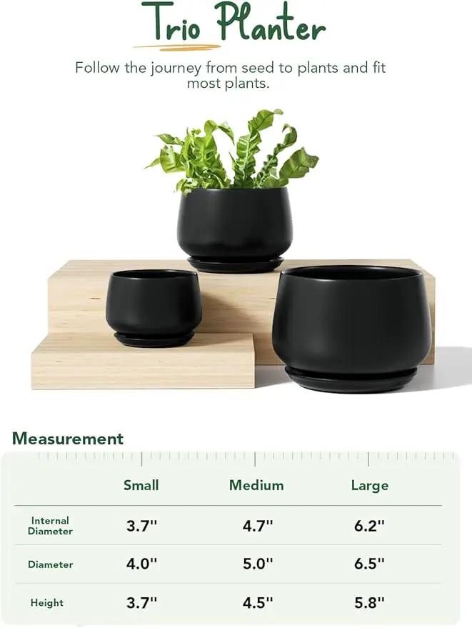 LE TAUCI Plant Pots, 4.1+5.1+6.5 inch, Set of 3, Ceramic Planters with Drainage Hole and Saucer, Indoor Flower Pot with Hole Mesh Pad, Gifts for Mom, Black by GreenHaven Gardens