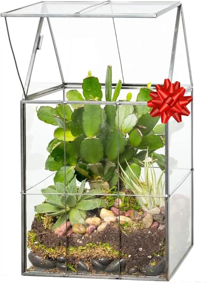 D'Eco Glass Geometric Plant Terrarium (6"x5"x11") - Indoor Tabletop Black Hinged Roof Planter Terrarium for Succulents, Air Plants, Moss - Home, Garden, Wedding & Office Decor- Gift for Plant Lovers by GreenHaven Gardens