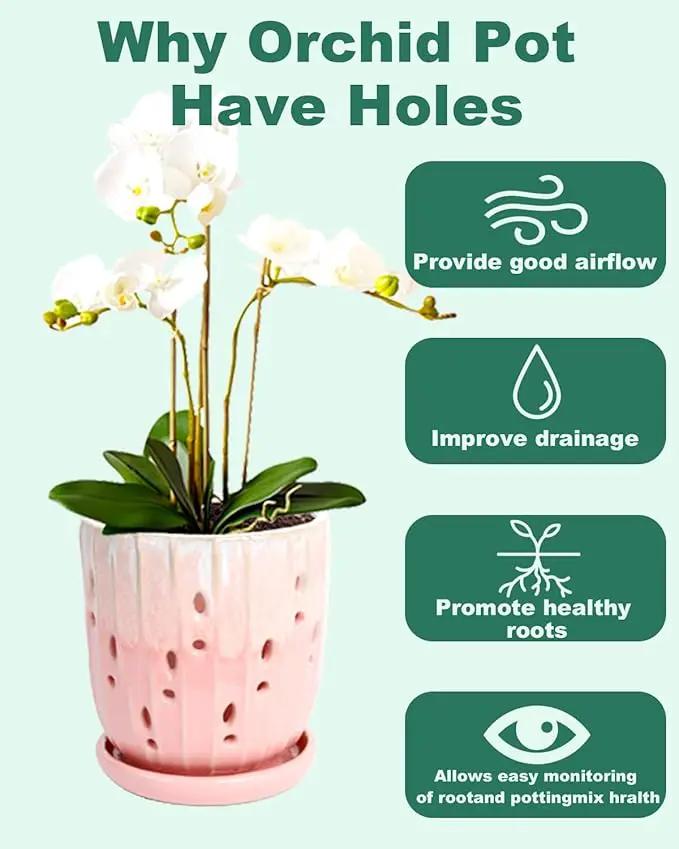 vensovo 6 Inch Ceramic Orchid Pot - Orchid Pot with Holes for Repotting, Ceramic Planter with Saucer for Indoor/Outdoor Plants, Pink by GreenHaven Gardens